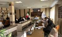 برگزاری کمیته های ارتقا سلامت نوزادان و کودکان،مرگ نوزاد و کودکان ۱ تا  ۵۹ ماهه و ترویج تغذیه با شیرمادر در محل شبکه بهداشت و درمان شهرستان رزن 
