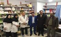 عملکرد نوروزی مرکز بهداشت 